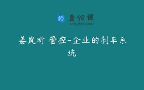 姜岚昕 管控-企业的刹车系统