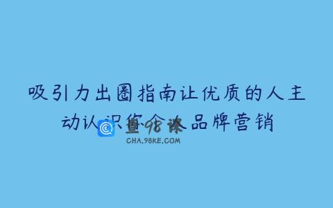 吸引力出圈指南让优质的人主动认识你个人品牌营销