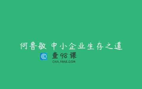 何鲁敏 中小企业生存之道