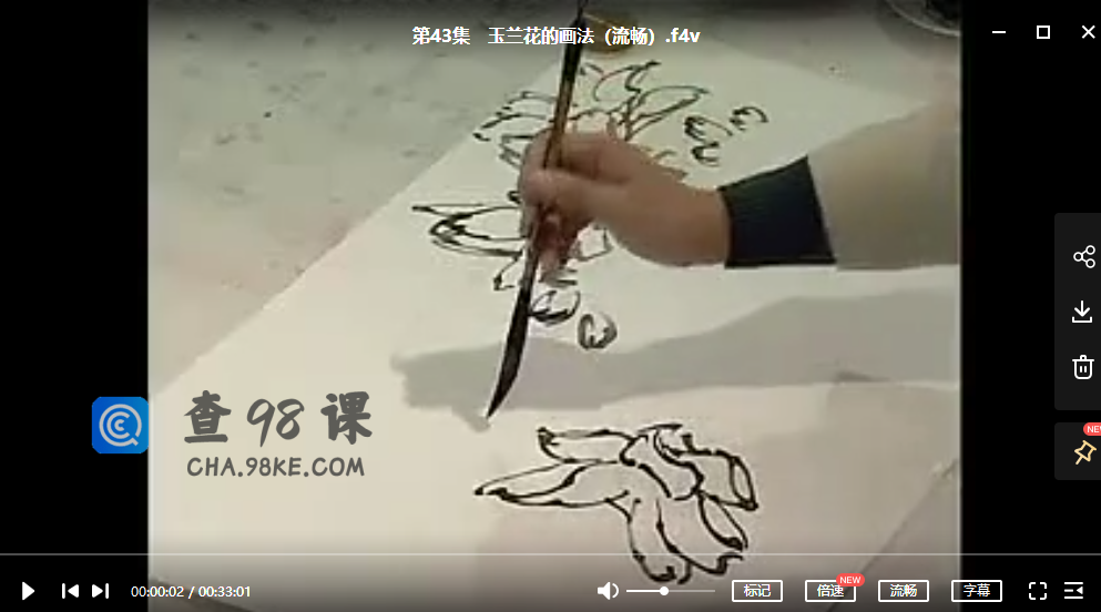 徐湛国画花鸟画教程