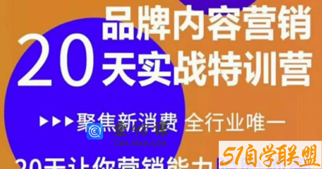 内容营销实操特训 20天让你营销能力脱胎换骨