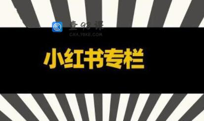 品牌医生《小红书全链营销干货》5个起盘案例，营销策略规划，避坑指南