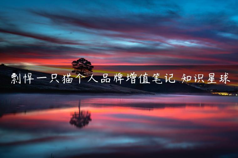 剽悍一只猫个人品牌增值笔记 知识星球