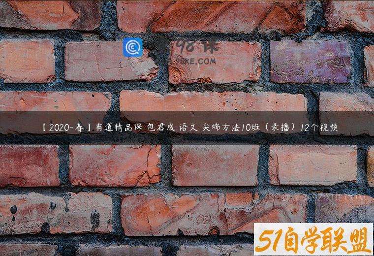 【2020-春】有道精品课 包君成 语文 尖端方法10班（录播）12个视频