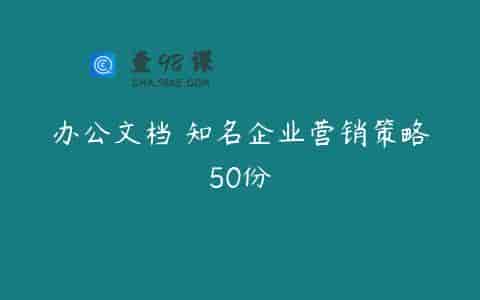 办公文档 知名企业营销策略50份