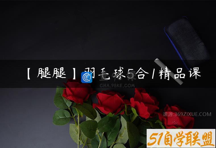【腿腿】羽毛球5合1精品课
