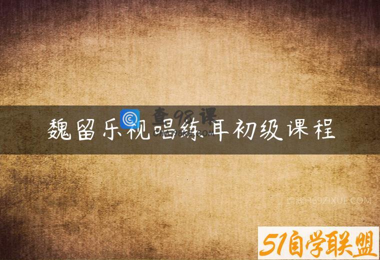 魏留乐视唱练耳初级课程