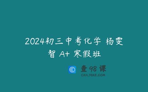 2024初三中考化学 杨雯智 A+ 寒假班