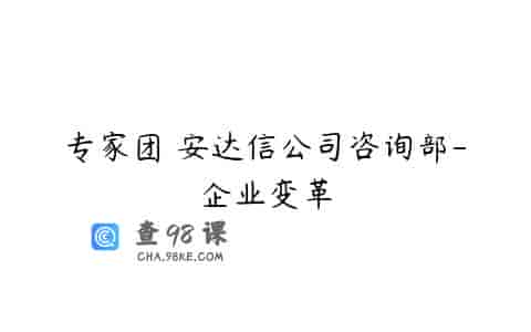 专家团 安达信公司咨询部-企业变革