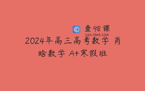 2024年高三高考数学 肖晗数学 A+寒假班