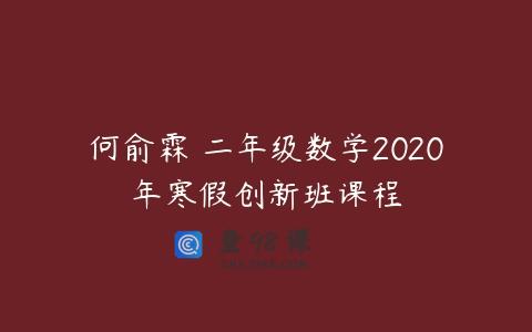 何俞霖 二年级数学2020年寒假创新班课程