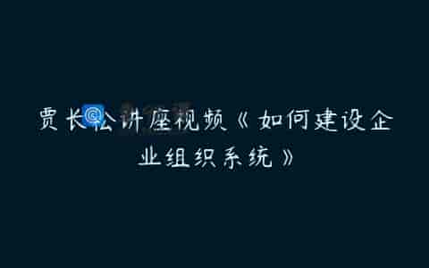 贾长松讲座视频《如何建设企业组织系统》