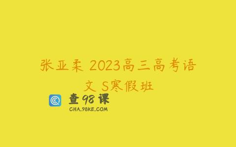 张亚柔 2023高三高考语文 S寒假班