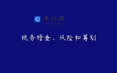 税务稽查、风险和筹划