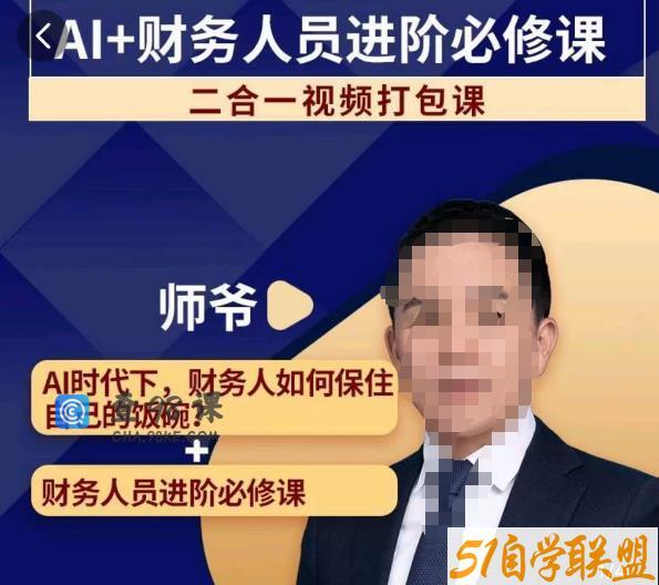 AI+财务人员进阶必修课二合一视频打包课，财务人员进阶必修课