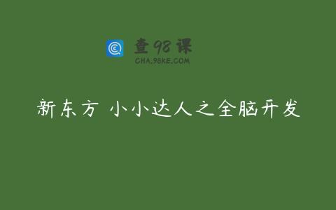 新东方 小小达人之全脑开发