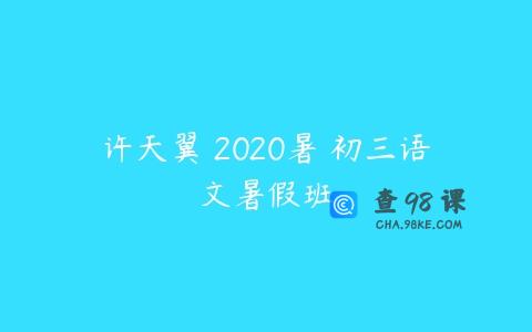 许天翼 2020暑 初三语文暑假班