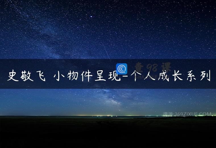 史敬飞 小物件呈现-个人成长系列