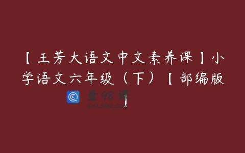 【王芳大语文中文素养课】小学语文六年级（下）【部编版】