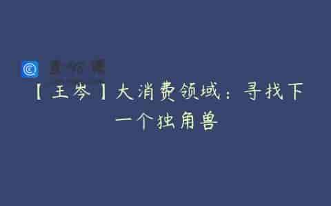 【王岑】大消费领域：寻找下一个独角兽