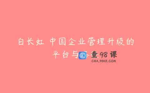 白长虹 中国企业管理升级的平台与路径