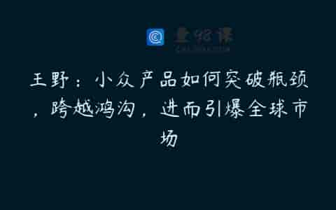 王野：小众产品如何突破瓶颈，跨越鸿沟，进而引爆全球市场