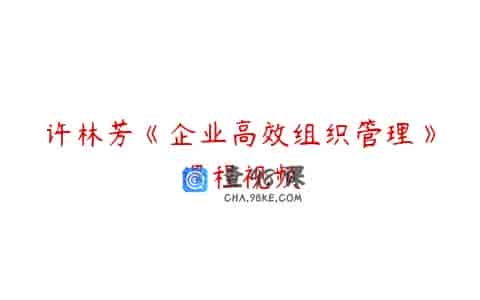 许林芳《企业高效组织管理》课程视频