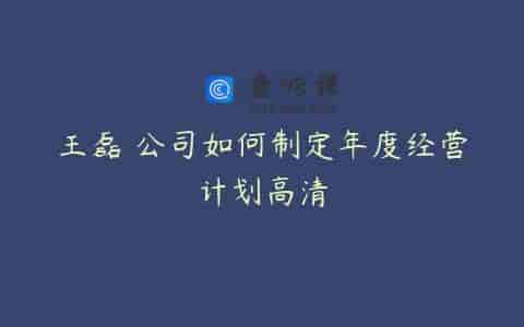 王磊 公司如何制定年度经营计划高清