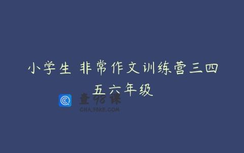 小学生 非常作文训练营三四五六年级