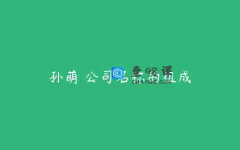 孙萌 公司名称的组成