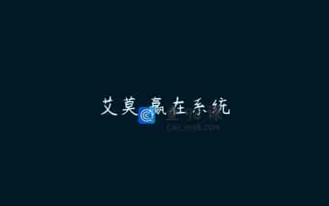 艾莫 赢在系统