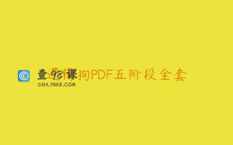 逻辑狗PDF五阶段全套