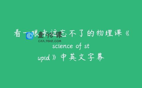 看一眼永远忘不了的物理课《science of stupid》中英文字幕