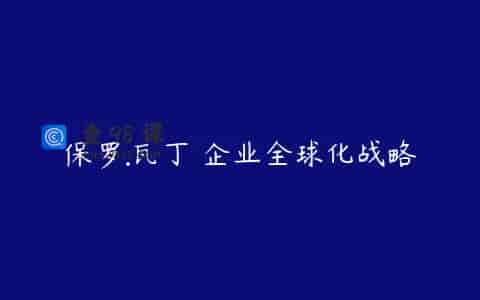 保罗.瓦丁 企业全球化战略