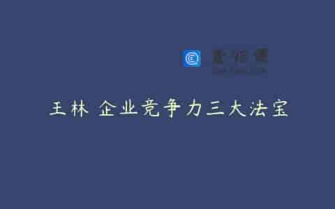 王林 企业竞争力三大法宝