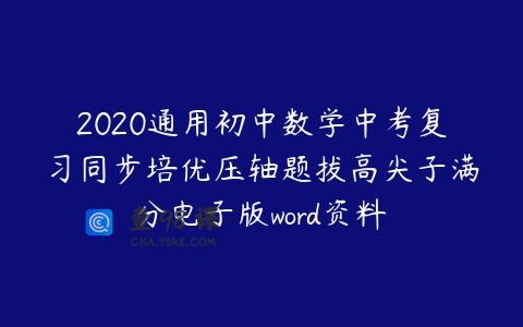 2020通用初中数学中考复习同步培优压轴题拔高尖子满分电子版word资料