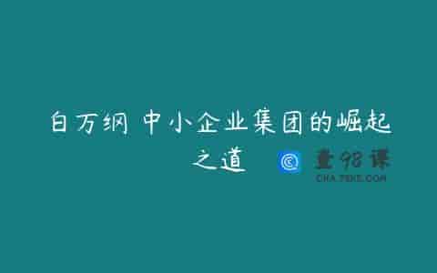 白万纲 中小企业集团的崛起之道