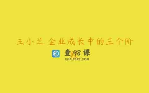 王小兰 企业成长中的三个阶段