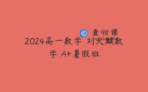 2024高一数学 刘天麒数学 A+暑假班