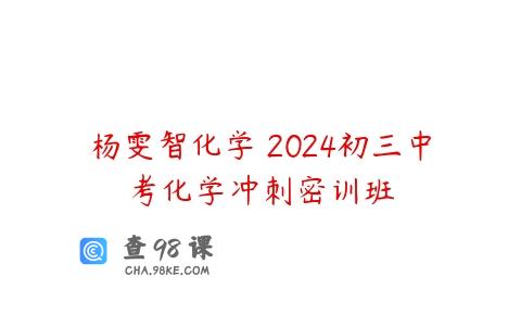 杨雯智化学 2024初三中考化学冲刺密训班