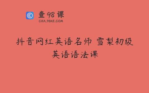 抖音网红英语名师 雪梨初级英语语法课