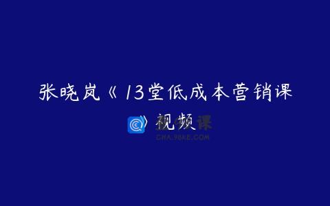 张晓岚《13堂低成本营销课》视频