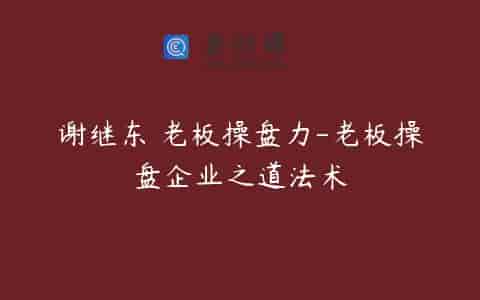 谢继东 老板操盘力-老板操盘企业之道法术