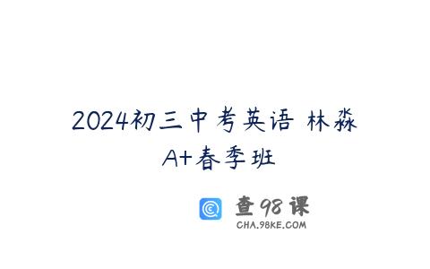 2024初三中考英语 林淼 A+春季班
