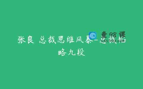 张良 总裁思维风暴-总裁韬略九段