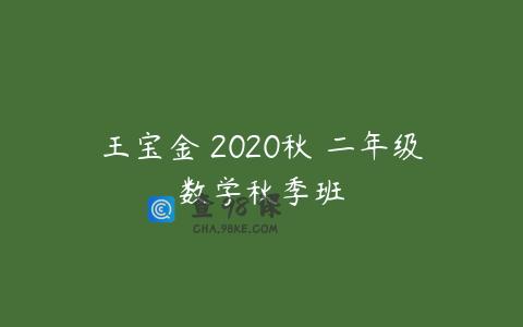 王宝金 2020秋 二年级数学秋季班
