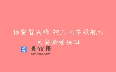 杨雯智尖端 初三化学领航六大实验模块班