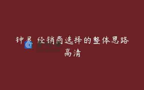 钟灵 经销商选择的整体思路高清