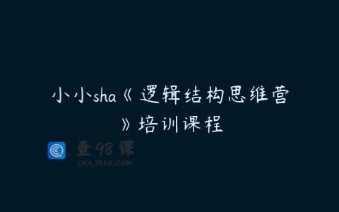 小小sha《逻辑结构思维营》培训课程