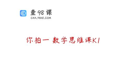 你拍一 数学思维课K1